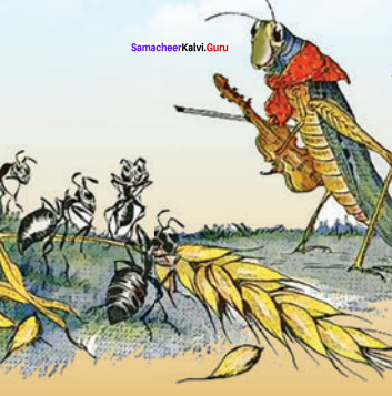 10th English Poem The Ant And The Cricket Samacheer Kalvi