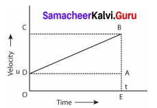 Samacheer Kalvi 9th Science Solutions Chapter 2 Motion 4