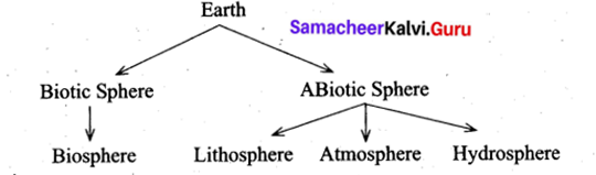Social Guide For Class 9 Samacheer Kalvi Science Geography Solutions Chapter 1 Lithosphere - I Endogenetic Processes 3
