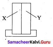 Samacheer Kalvi 11th Physics Solutions Chapter 8 Heat and Thermodynamics 2612