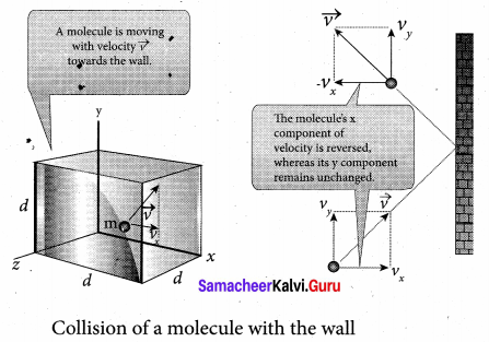 Samacheer Kalvi 11th Physics Solutions Chapter 9 Kinetic Theory of Gases 26