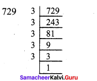 Samacheer Kalvi 7th Maths Solutions Term 2 Chapter 3 Algebra Ex 3.1 3