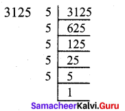 Samacheer Kalvi 7th Maths Solutions Term 2 Chapter 3 Algebra Ex 3.1 4