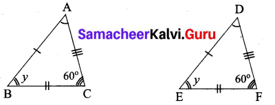 Samacheer Kalvi 7th Maths Solutions Term 2 Chapter 4 Geometry 4.2 1
