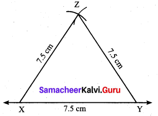 Samacheer Kalvi 7th Maths Solutions Term 2 Chapter 4 Geometry 4.2 21