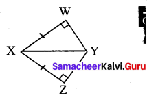 Samacheer Kalvi 7th Maths Solutions Term 2 Chapter 4 Geometry 4.2 9