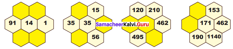 Samacheer Kalvi 7th Maths Solutions Term 2 Chapter 5 Information Processing Ex 5.2 3