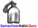 Samacheer Kalvi Guru 7th Science Book Back Answers 