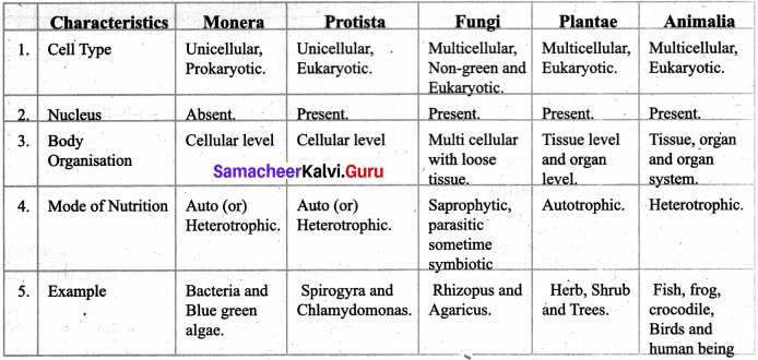 Basis Of Classification Class 7 Samacheer Kalvi Chapter 5