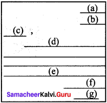 Samacheer Kalvi 9th English Letter Writing 3