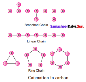 Samacheer Kalvi 9th Science Solutions Chapter 15 Carbon and its Compounds 1