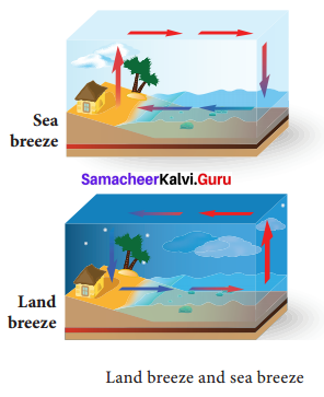 Heat Lesson For 9th Class Samacheer Kalvi