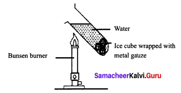 Lesson 7 Science Class 9 Samacheer Kalvi