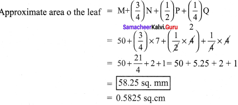Samacheer Kalvi 7th Science Solutions Term 1 Chapter 1 Measurement image - 13