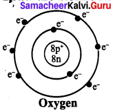 7th standard science atomic structure Samacheer Kalvi