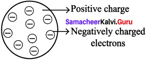 unit 4 atomic structure answers Samacheer Kalvi