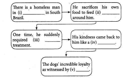 Homeless Man And His Friends Summary Samacheer Kalvi
