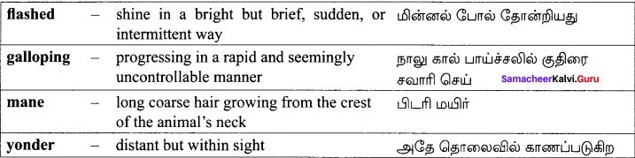 Samacheer Kalvi 12th English Solutions Poem Chapter 6 Incident of the French Camp img-5