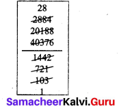 Samacheer Kalvi 7th Maths Solutions Term 3 Chapter 1 Number System 1.4 13