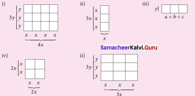 Samacheer Kalvi 7th Maths Solutions Term 3 Chapter 3 Algebra Intext Questions 1