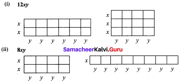 Samacheer Kalvi 7th Maths Solutions Term 3 Chapter 3 Algebra Intext Questions 2