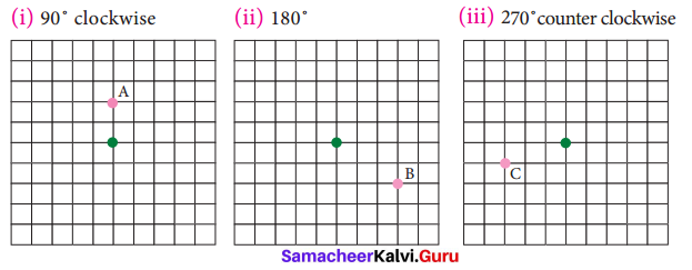 Samacheer Kalvi 7th Maths Solutions Term 3 Chapter 4 Geometry Ex 4.1 10