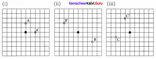 Samacheer Kalvi 7th Maths Solutions Term 3 Chapter 4 Geometry Ex 4.1 12