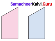 Samacheer Kalvi 7th Maths Solutions Term 3 Chapter 4 Geometry Ex 4.1 16