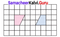 Samacheer Kalvi 7th Maths Solutions Term 3 Chapter 4 Geometry Ex 4.1 21