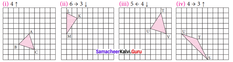 Samacheer Kalvi 7th Maths Solutions Term 3 Chapter 4 Geometry Ex 4.1 4