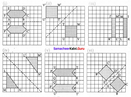 Samacheer Kalvi 7th Maths Solutions Term 3 Chapter 4 Geometry Ex 4.1 7