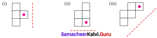 Samacheer Kalvi 7th Maths Solutions Term 3 Chapter 4 Geometry Ex 4.1 8