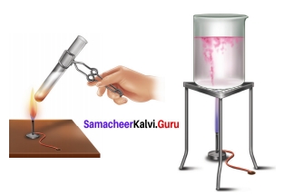 Samacheer Kalvi 7th Science Solutions Term 3 Chapter 4 Chemistry in Daily Life