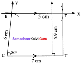 Samacheer Kalvi 8th Maths Solutions Term 2 Chapter 3.3 6