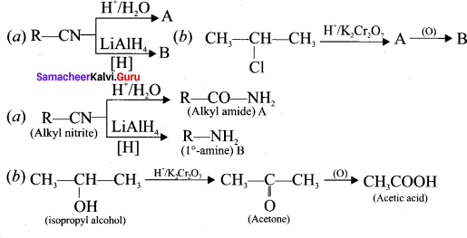 Samacheer Kalvi 11th Chemistry Solutions Chapter 12 Basic Concepts of Organic Reactions