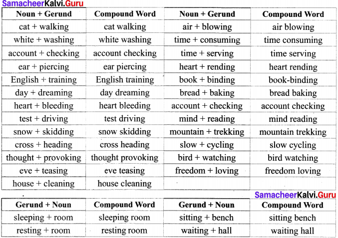 Samacheer Kalvi 12th English Vocabulary Compound Words 3