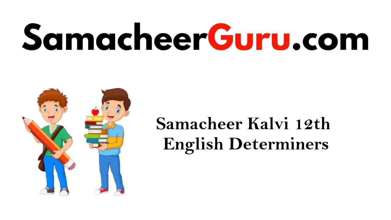Samacheer Kalvi 12th English Grammar Determiners