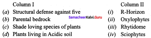 Samacheer Kalvi 12th Bio Botany Solutions Chapter 6 Principles of Ecology