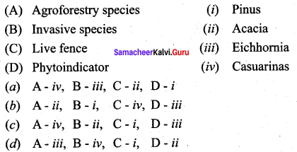 Samacheer Kalvi 12th Bio Botany Solutions Chapter 8 Environmental Issues