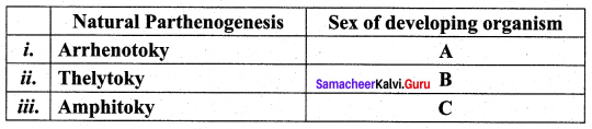 12th Bio Zoology 1st Lesson Samacheer Kalvi Chapter 1