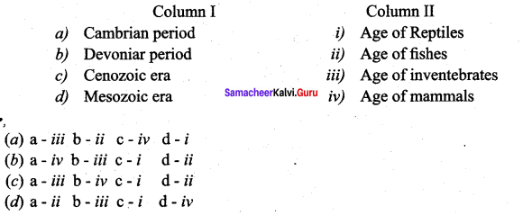 10th Maths Exercise 4.4 Samacheer Kalvi 