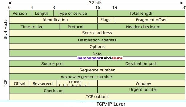 Samacheer Kalvi 12th Computer Applications Solutions Chapter 11 Network Examples and Protocols