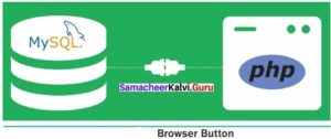 Samacheer Kalvi 12th Computer Applications Solutions Chapter 9 ...