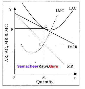 Tamil Nadu 11th Economics Model Question Paper 2 English Medium - 8