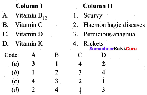Tamil Nadu 12th Chemistry Model Question Paper 2 English Medium - 5