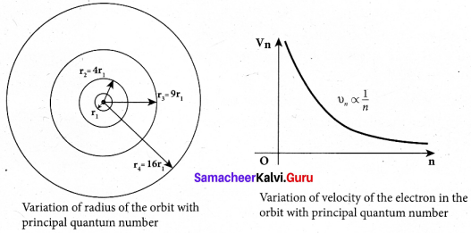 Tamil Nadu 12th Physics Model Question Paper 5 English Medium - 23
