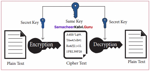 Samacheer Kalvi 11th Computer Applications Solutions Chapter 17 Computer Ethics and Cyber Security Q4
