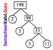 Samacheer Kalvi 6th Maths Solutions Term 2 Chapter 1 Numbers Ex 1.1 Q11.6