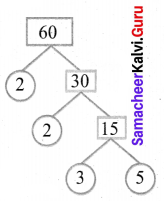 Samacheer Kalvi 6th Maths Solutions Term 2 Chapter 1 Numbers Ex 1.1 Q11