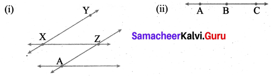 Samacheer Kalvi 6th Maths Term 1 Chapter 4 Geometry Ex 4.3 Q3